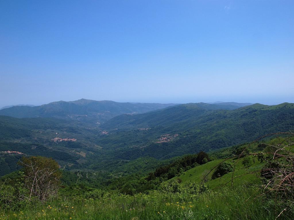 Casa Vacanze Bungalow I Girasoli Ventimiglia Esterno foto
